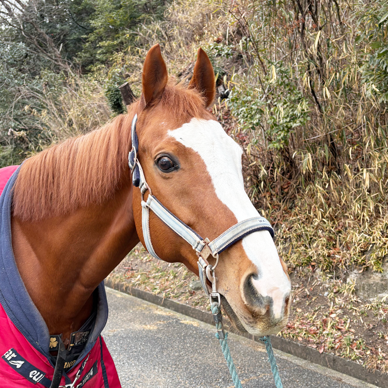 写真：パズホープ